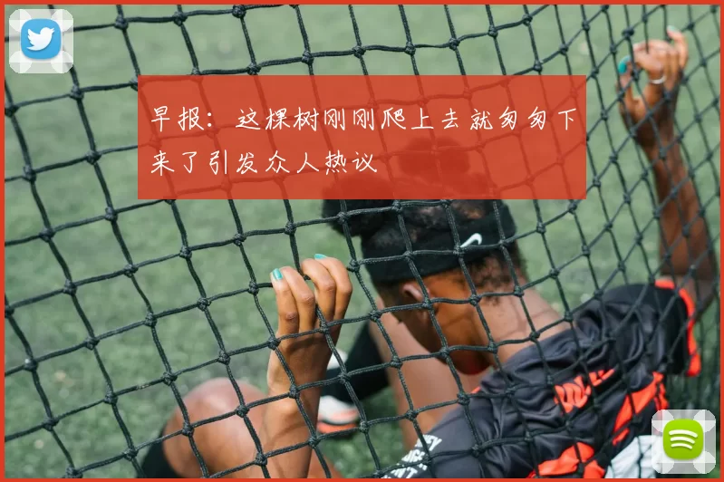 早报：这棵树刚刚爬上去就匆匆下来了引发众人热议