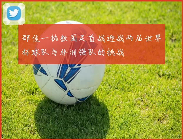 邵佳一执教国足首战迎战两届世界杯球队与非洲强队的挑战